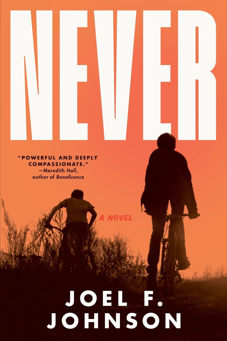 Knjiga Never Joel F. Johnson