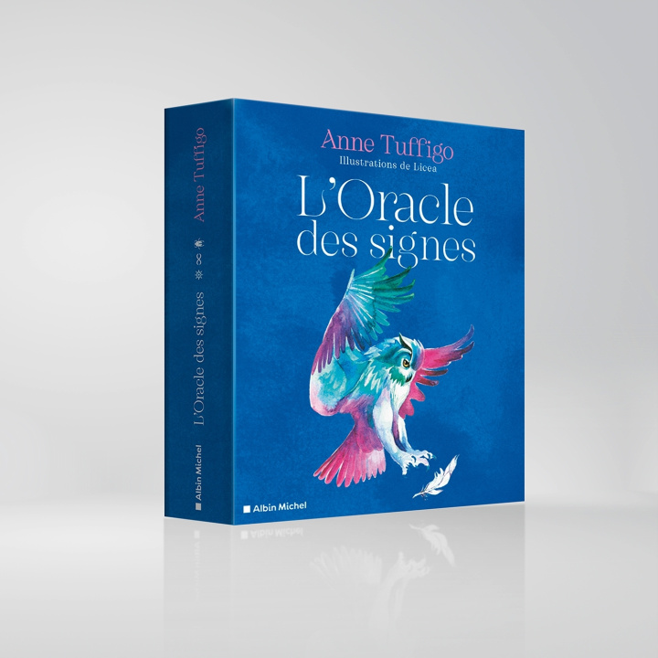 Knjiga Oracle des signes (coffret) Anne Tuffigo