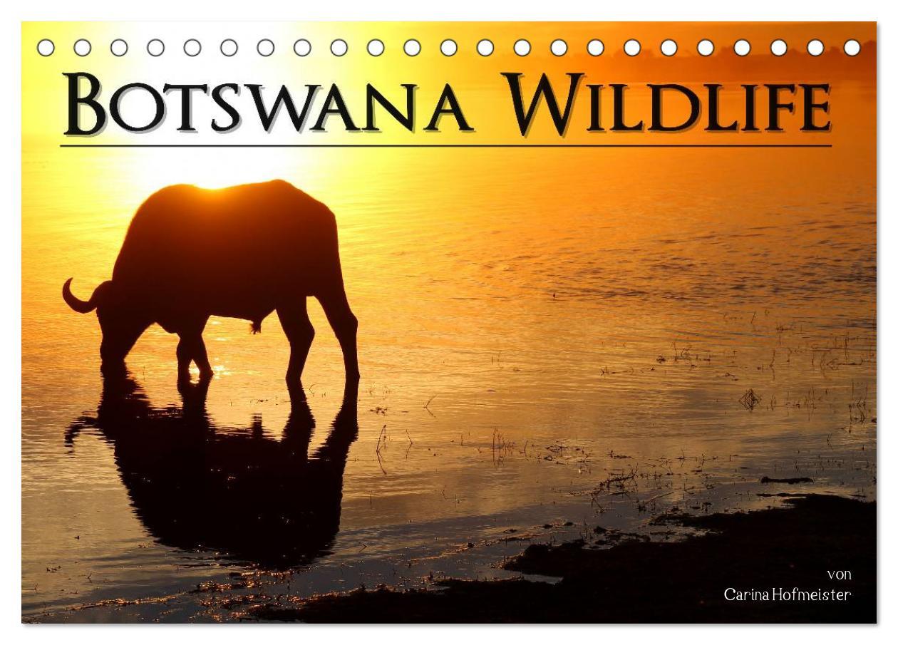 Calendar / Agendă Botswana Wildlife (Tischkalender 2024 DIN A5 quer), CALVENDO Monatskalender 
