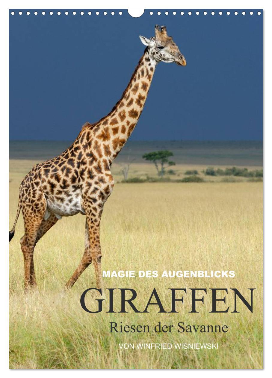 Kalendár/Diár Magie des Augenblicks - Giraffen - Riesen der Savanne (Wandkalender 2024 DIN A3 hoch), CALVENDO Monatskalender 