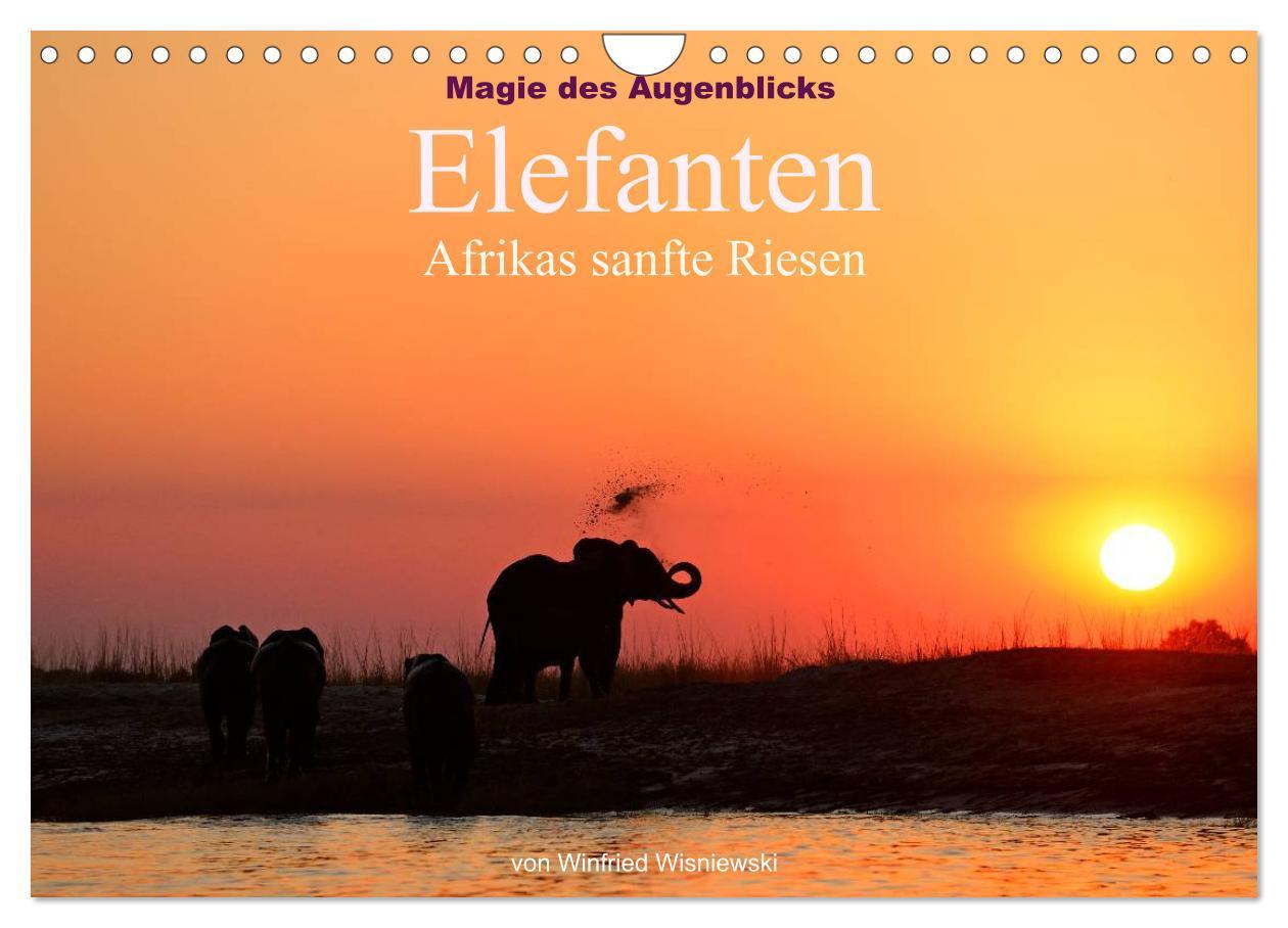 Kalendarz/Pamiętnik Magie des Augenblicks - Elefanten - Afrikas sanfte Riesen (Wandkalender 2024 DIN A4 quer), CALVENDO Monatskalender 