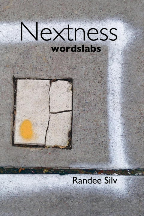 Knjiga Nextness Randee Silv