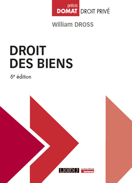 Kniha Droit des biens, 6ème édition Dross