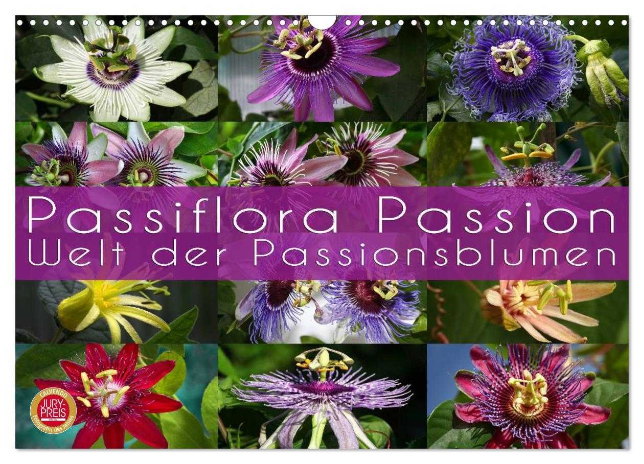 Calendar / Agendă Passiflora Passion - Welt der Passionsblumen (Wandkalender 2024 DIN A3 quer), CALVENDO Monatskalender 