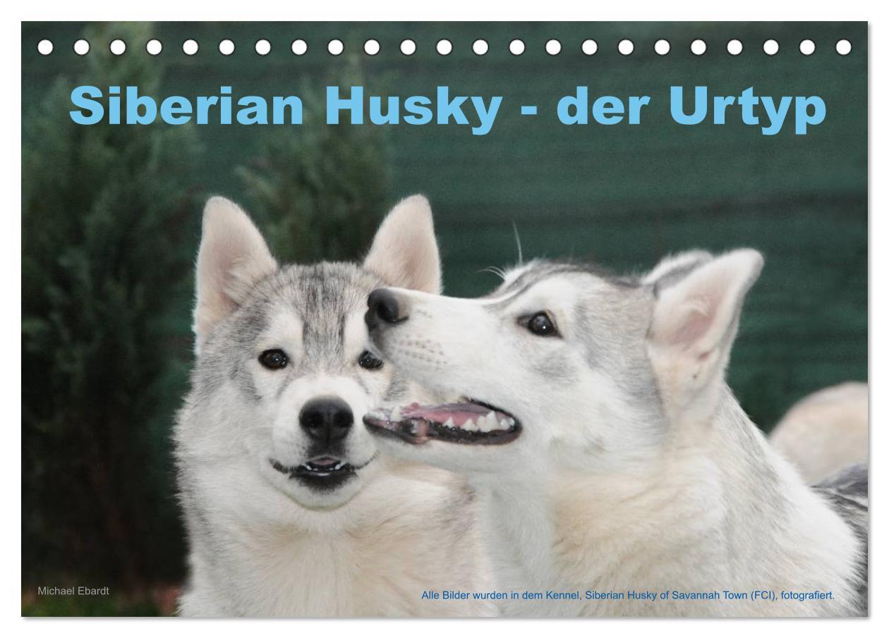 Calendar / Agendă Siberian Husky - der Urtyp (Tischkalender 2024 DIN A5 quer), CALVENDO Monatskalender 