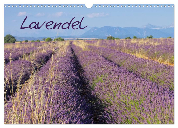 Naptár/Határidőnapló Lavendel (Wandkalender 2024 DIN A3 quer), CALVENDO Monatskalender 
