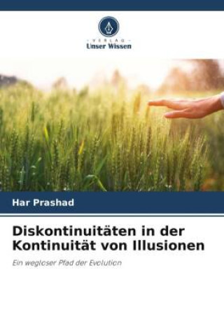 Book Diskontinuitäten in der Kontinuität von Illusionen 