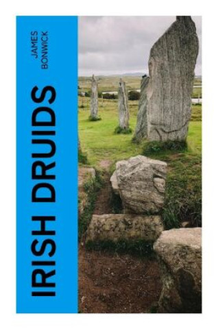 Knjiga Irish Druids James Bonwick