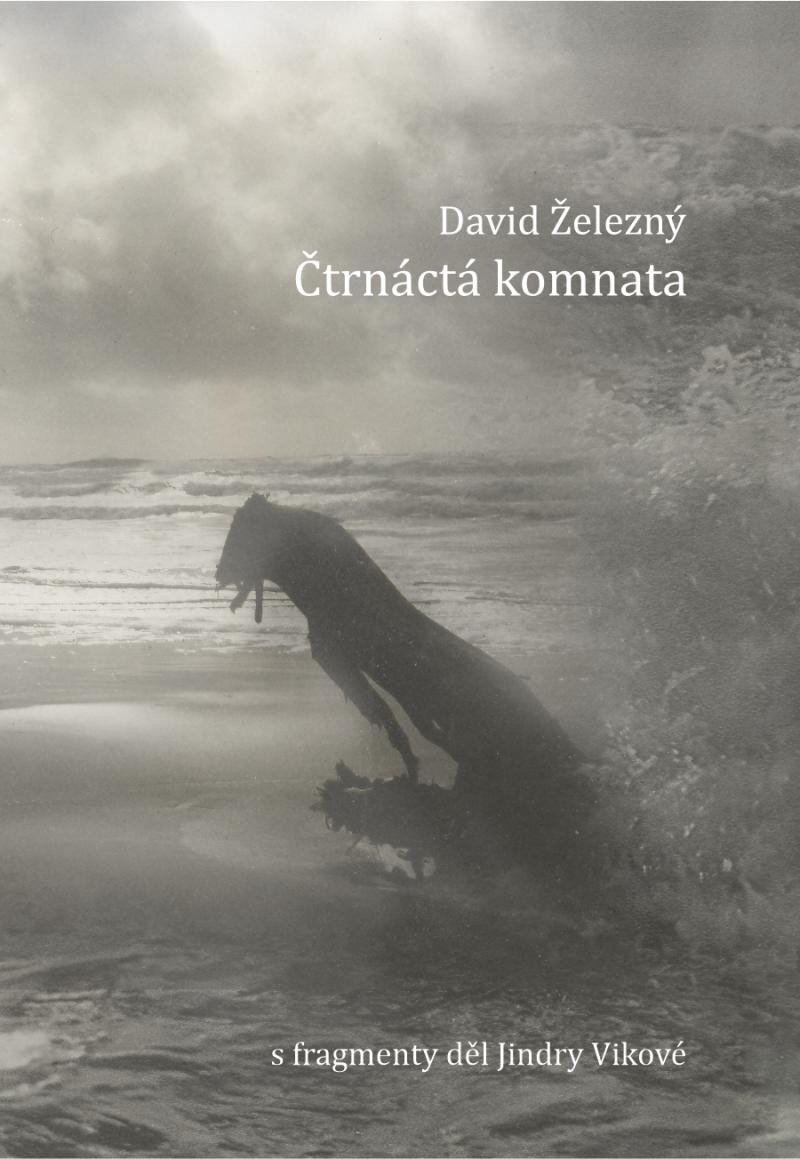 Kniha Čtrnáctá komnata David Železný