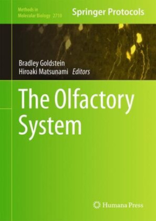 Knjiga The Olfactory System Bradley Goldstein