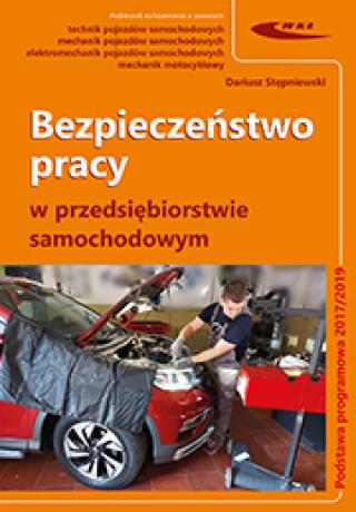 Könyv Bezpieczeństwo pracy w przedsiębiorstwie samochodowym Stępniewski Dariusz