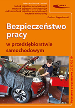 Buch Bezpieczeństwo pracy w przedsiębiorstwie samochodowym Stępniewski Dariusz