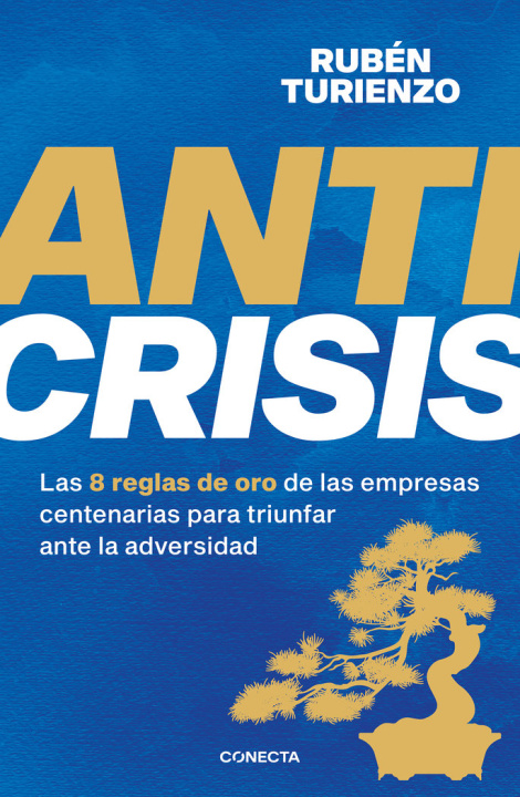Book ANTICRISIS RUBEN TURIENZO