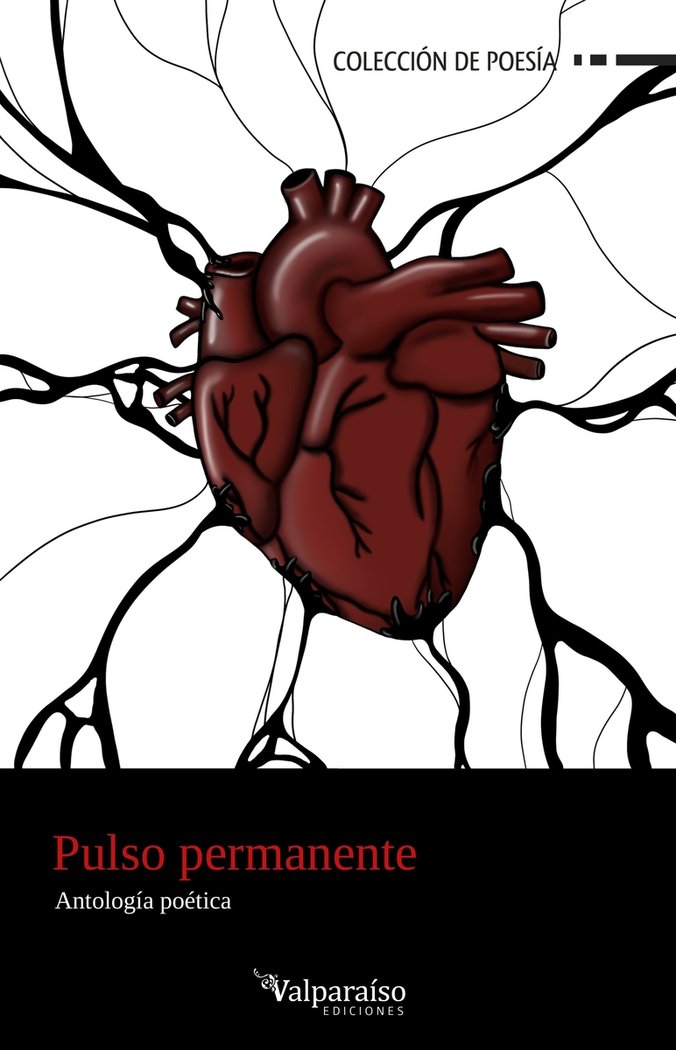 Knjiga PULSO PERMANENTE VV.