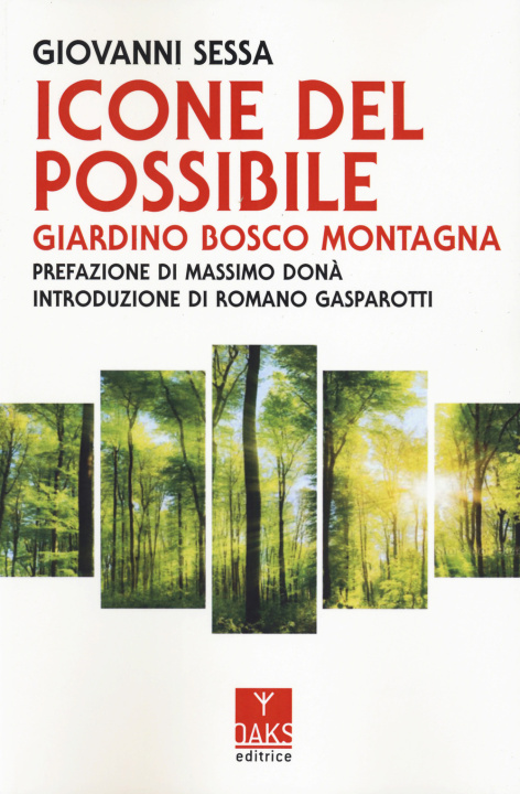 Kniha Icone del possibile. Giardino, bosco, montagna Giovanni Sessa