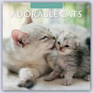 Kalendár/Diár Adorable Cats - Liebenswerte Katzen 2024 - 16-Monatskalender 