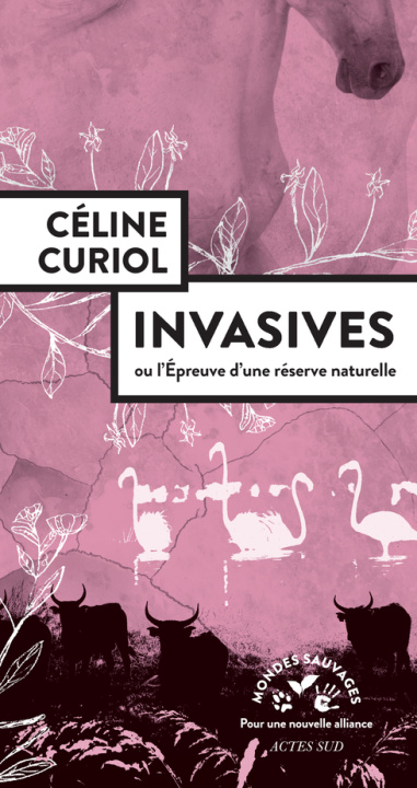 Knjiga Invasives Curiol