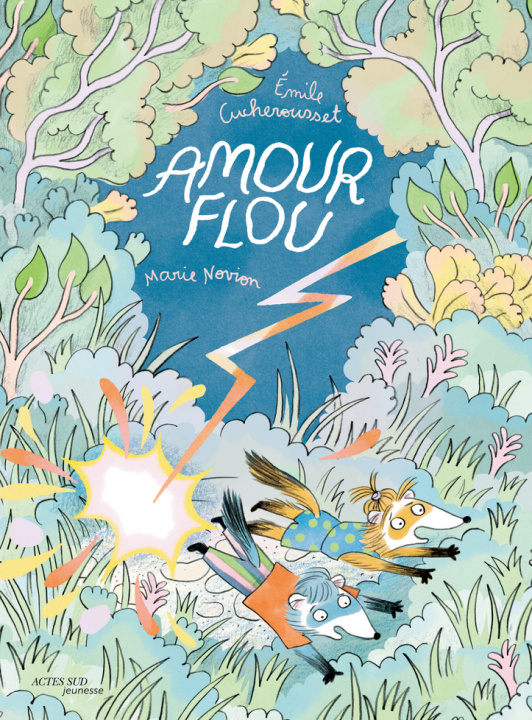 Knjiga Amour flou Cucherousset