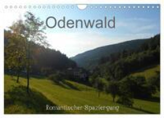 Naptár/Határidőnapló Odenwald - Romantischer Spaziergang (Wandkalender 2024 DIN A4 quer), CALVENDO Monatskalender 