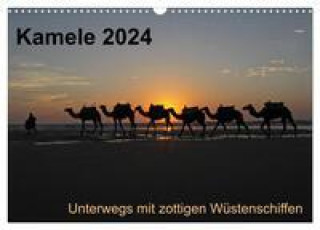 Kalender/Terminbuch Kamele 2024 - Unterwegs mit zottigen Wüstenschiffen (Wandkalender 2024 DIN A3 quer), CALVENDO Monatskalender 