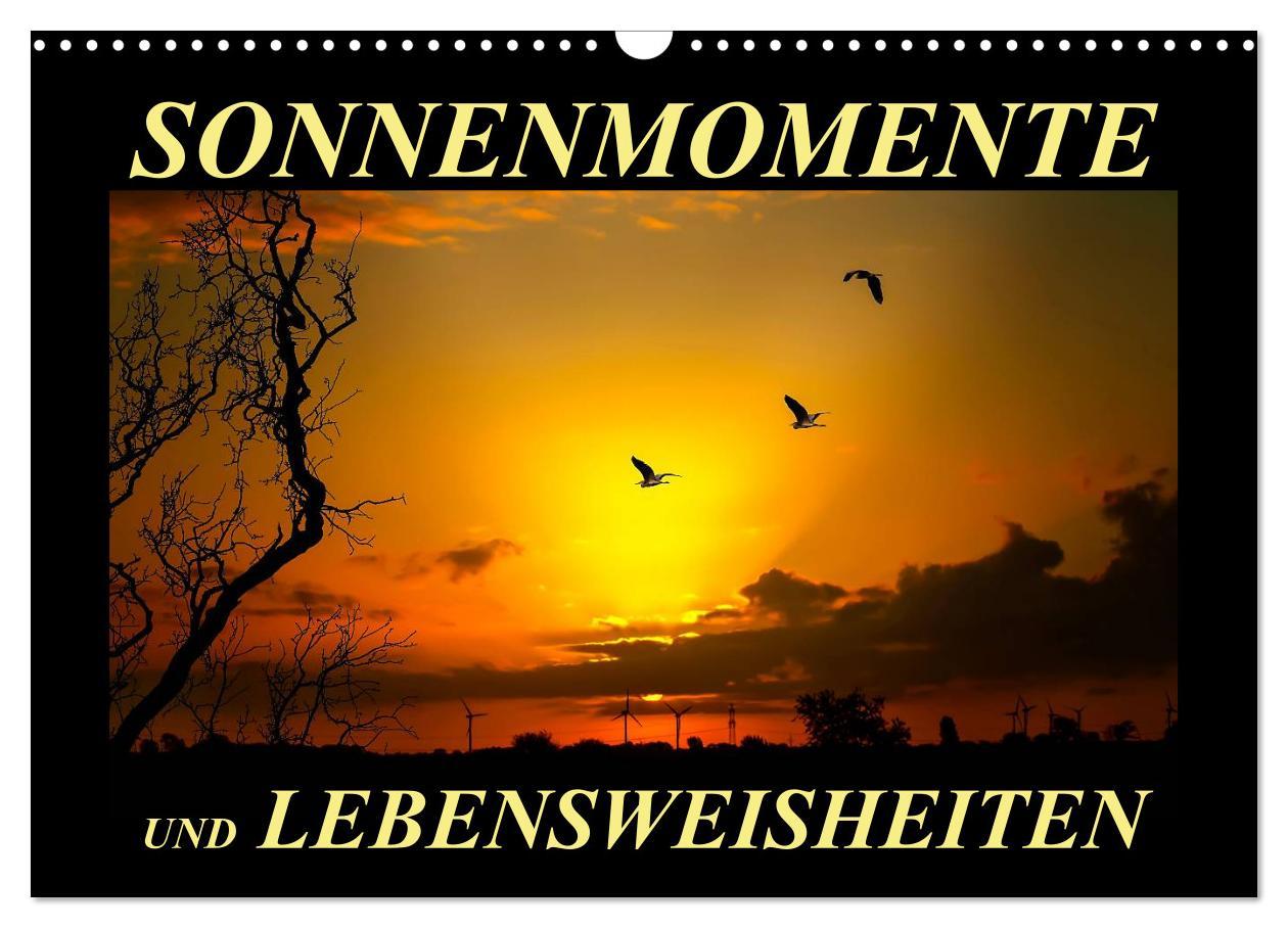 Kalendář/Diář Sonnenmomente und Lebensweisheiten (Wandkalender 2024 DIN A3 quer), CALVENDO Monatskalender 