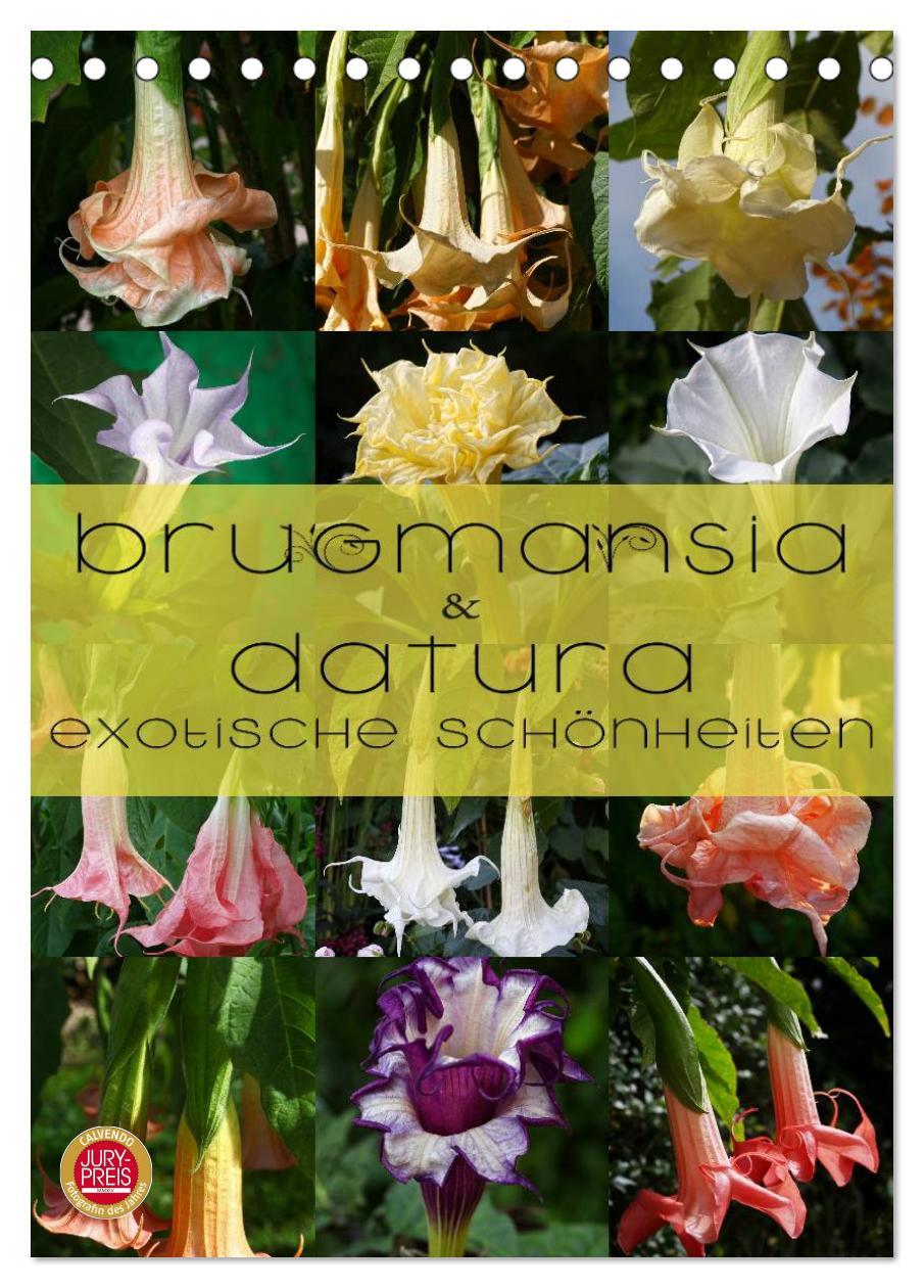 Kalendarz/Pamiętnik Brugmansia & Datura - Exotische Schönheiten (Tischkalender 2024 DIN A5 hoch), CALVENDO Monatskalender 