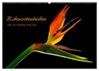 Kalendář/Diář Blütenschönheiten (Wandkalender 2024 DIN A2 quer), CALVENDO Monatskalender 