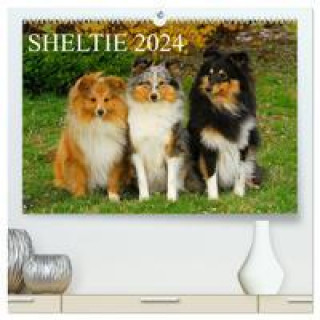 Calendar / Agendă Sheltie 2024 (hochwertiger Premium Wandkalender 2024 DIN A2 quer), Kunstdruck in Hochglanz 
