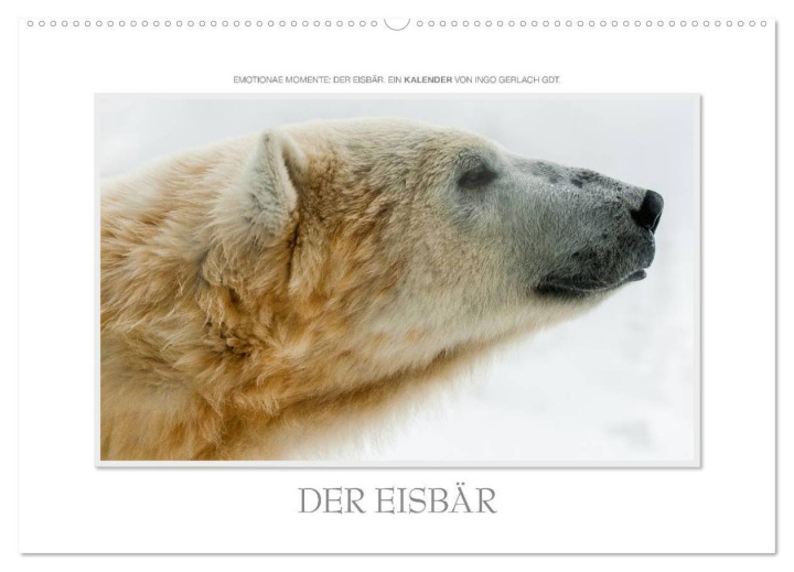 Kalendarz/Pamiętnik Emotionale Momente: Der Eisbär. (Wandkalender 2024 DIN A2 quer), CALVENDO Monatskalender 