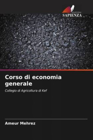 Kniha Corso di economia generale Ameur Mehrez
