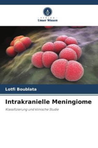 Kniha Intrakranielle Meningiome Lotfi Boublata