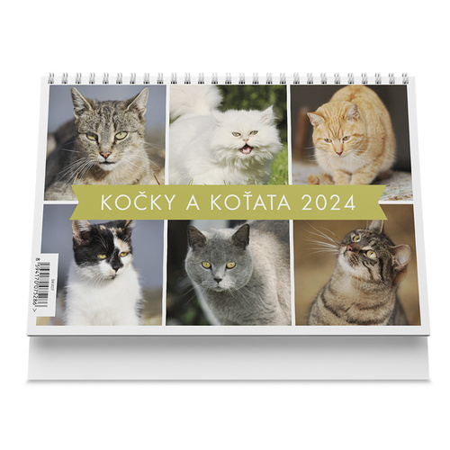 Naptár/Határidőnapló Kočky a koťata 2024 - stolní kalendář 