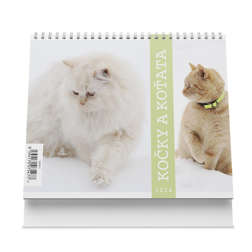 Kalendář/Diář Kočky a koťata 2024 - stolní kalendář 