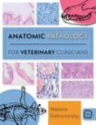 Könyv Anatomic Pathology for Veterinary Clinicians Melanie Dobromylskyj