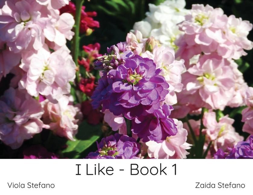 Boek I Like - Book 1 Viola Stefano