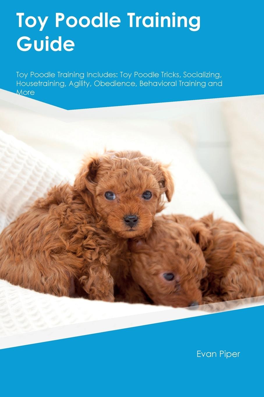 Carte Toy Poodle Training Guide  Toy Poodle Training Includes 