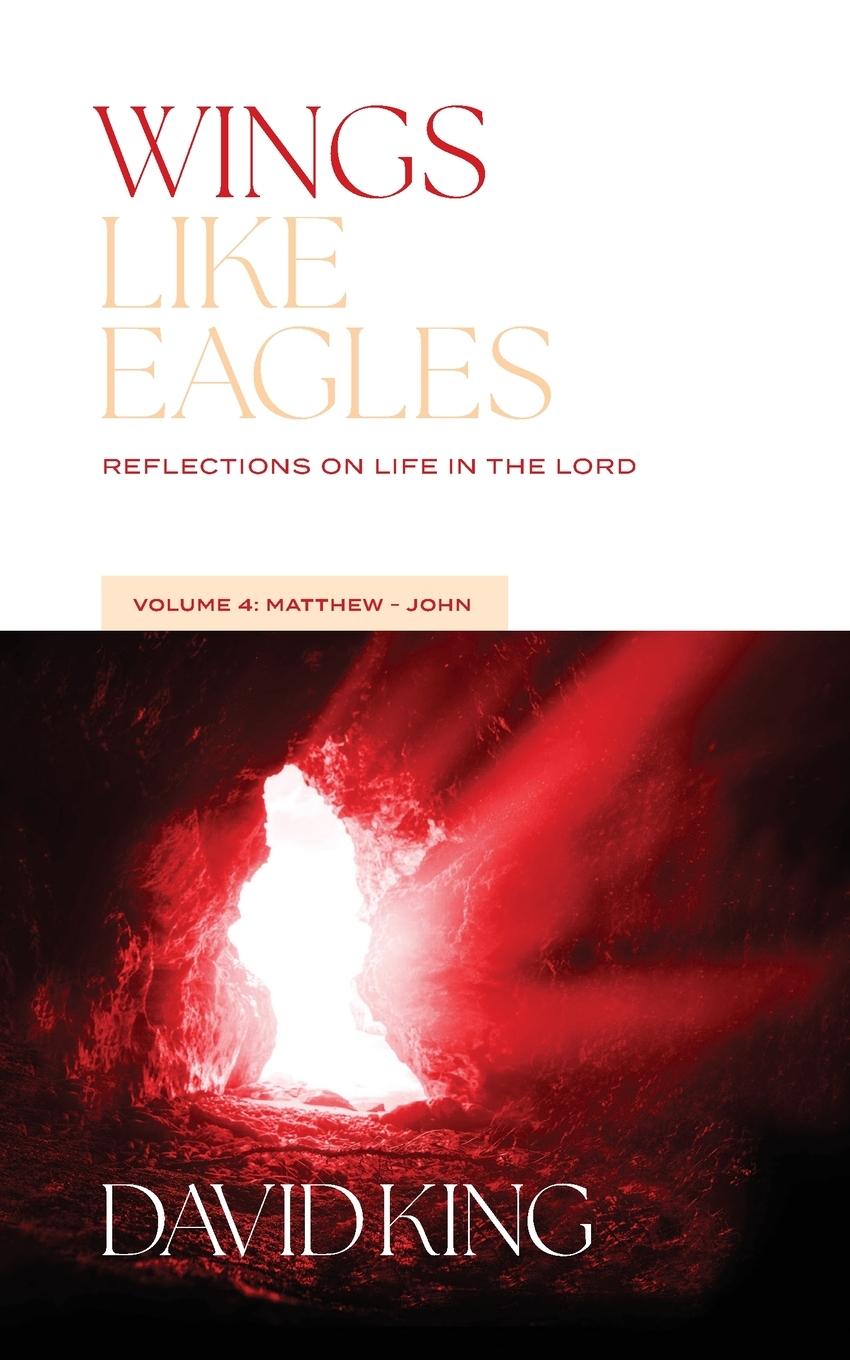 Knjiga Wings Like Eagles David King
