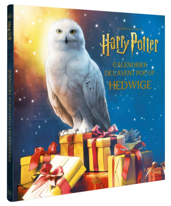 Kniha Calendrier de l'Avent Hedwige Harry Potter 