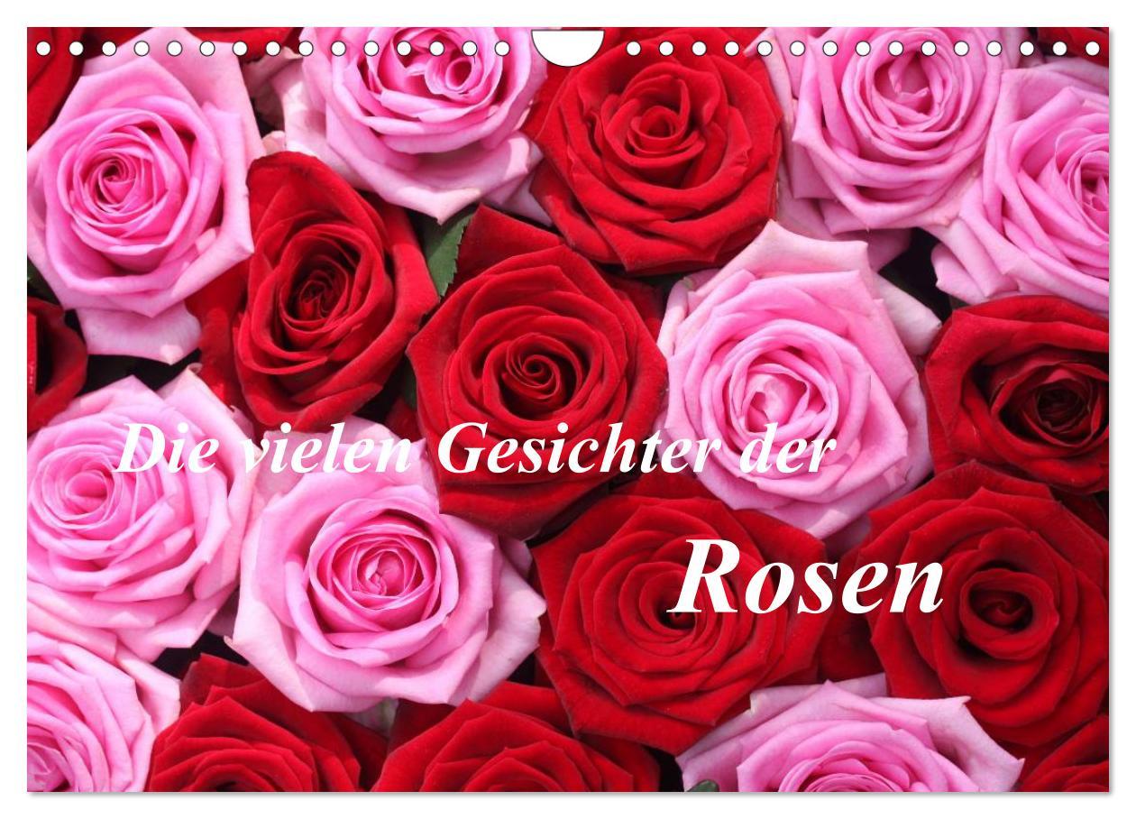 Calendar / Agendă Die vielen Gesichter der Rosen (Wandkalender 2024 DIN A4 quer), CALVENDO Monatskalender 