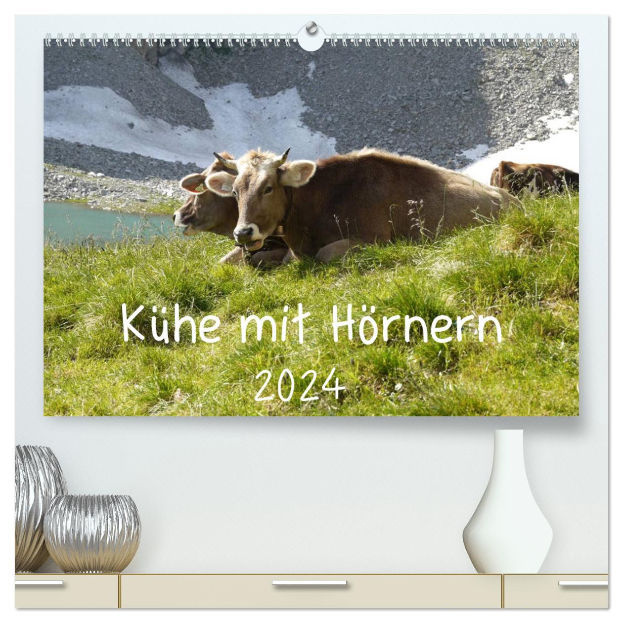 Kalendář/Diář Kühe mit Hörnern (hochwertiger Premium Wandkalender 2024 DIN A2 quer), Kunstdruck in Hochglanz 