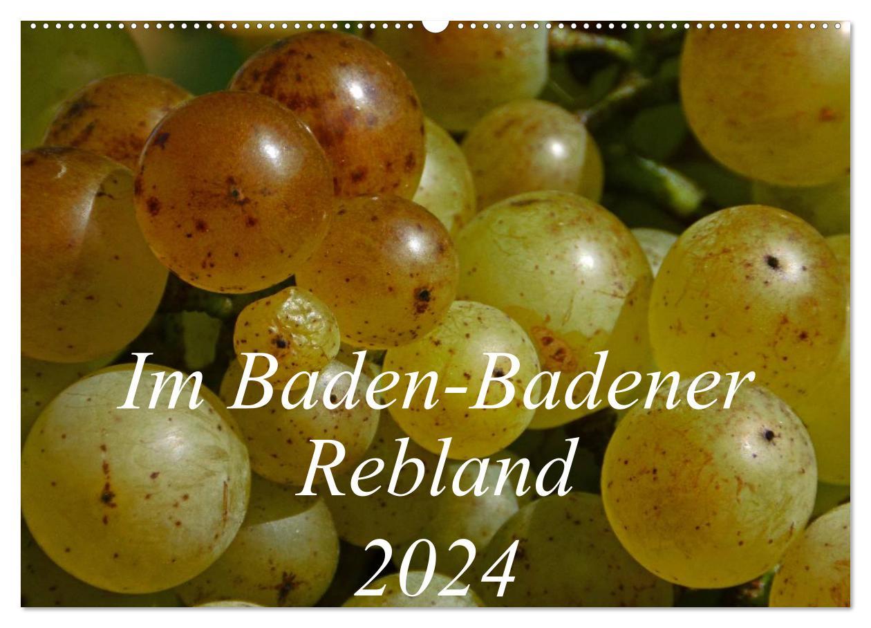 Calendar / Agendă Im Baden-Badener Rebland 2024 (Wandkalender 2024 DIN A2 quer), CALVENDO Monatskalender 
