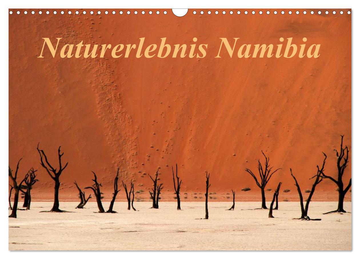 Calendar / Agendă Naturerlebnis Namibia (Wandkalender 2024 DIN A3 quer), CALVENDO Monatskalender 