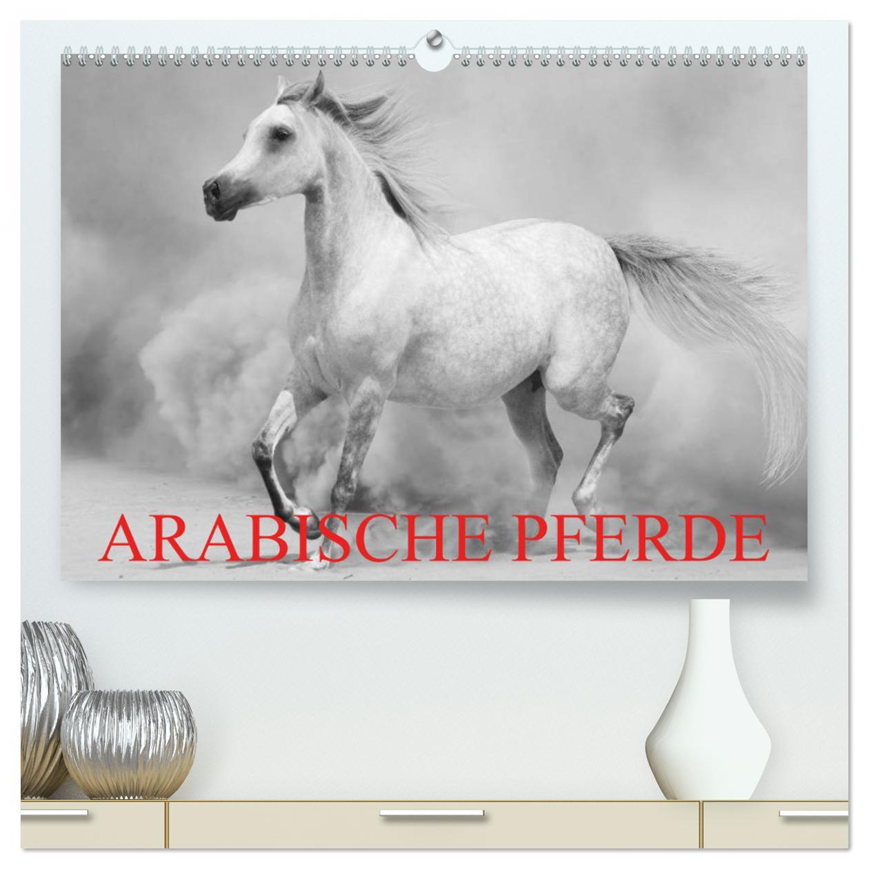 Kalender/Terminbuch Arabische Pferde (hochwertiger Premium Wandkalender 2024 DIN A2 quer), Kunstdruck in Hochglanz 