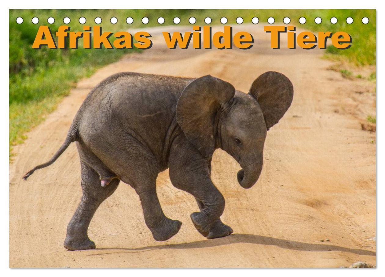 Calendar / Agendă Afrikas wilde Tiere (Tischkalender 2024 DIN A5 quer), CALVENDO Monatskalender 