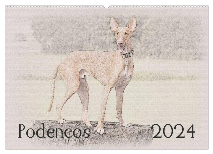 Kalendář/Diář Podencos 2024 (Wandkalender 2024 DIN A2 quer), CALVENDO Monatskalender 