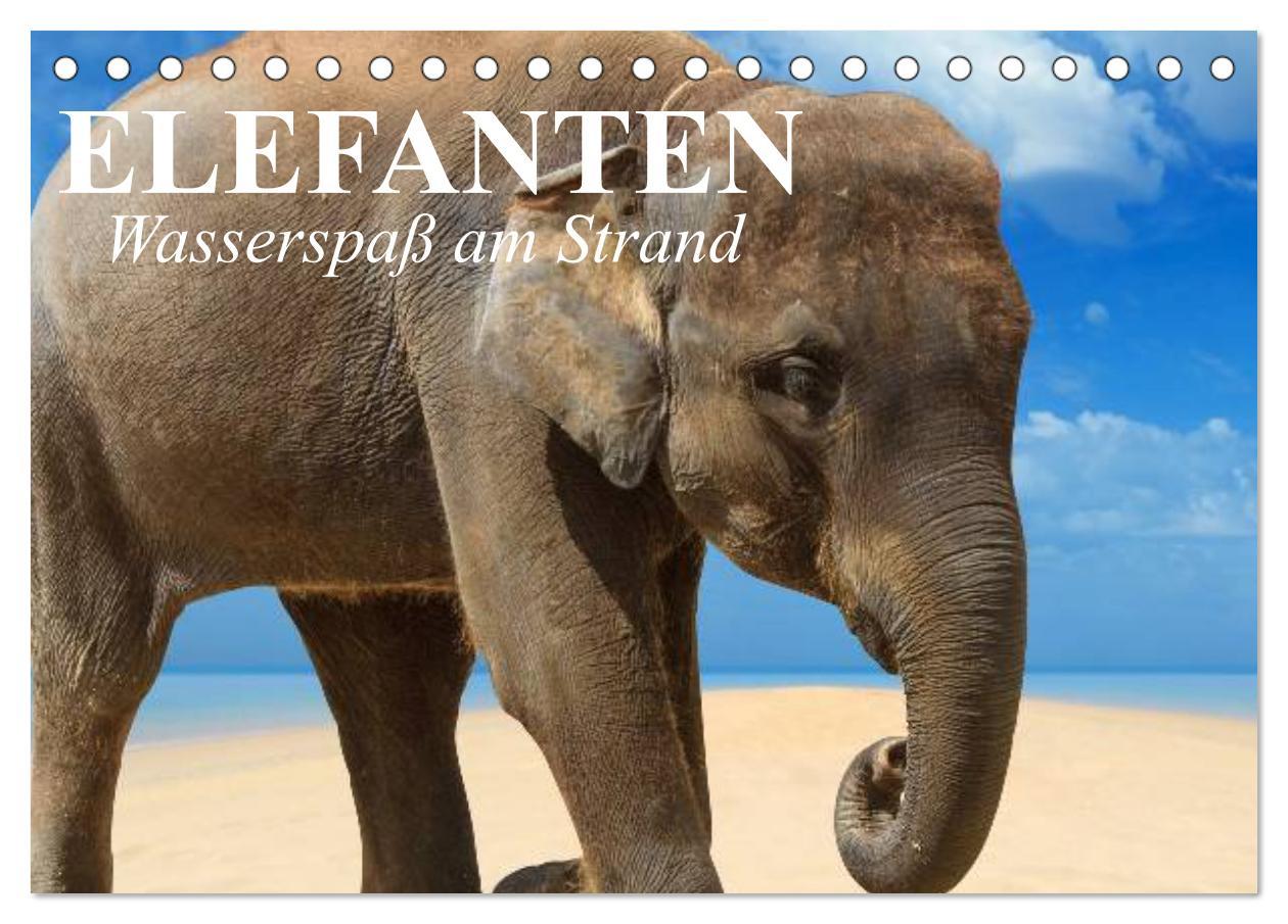Calendar / Agendă Elefanten - Wasserspaß am Strand (Tischkalender 2024 DIN A5 quer), CALVENDO Monatskalender 