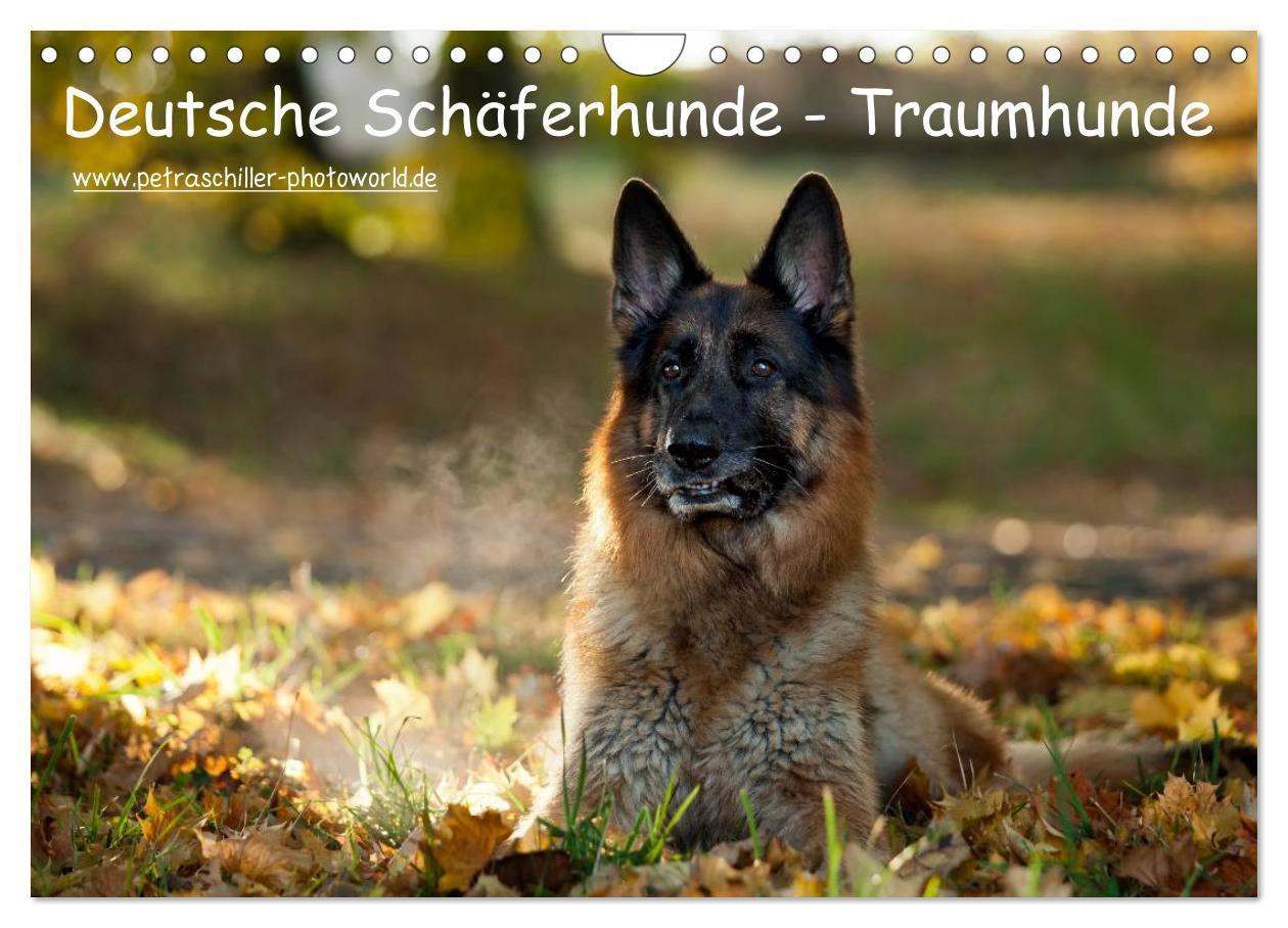 Calendar / Agendă Deutsche Schäferhunde - Traumhunde (Wandkalender 2024 DIN A4 quer), CALVENDO Monatskalender 