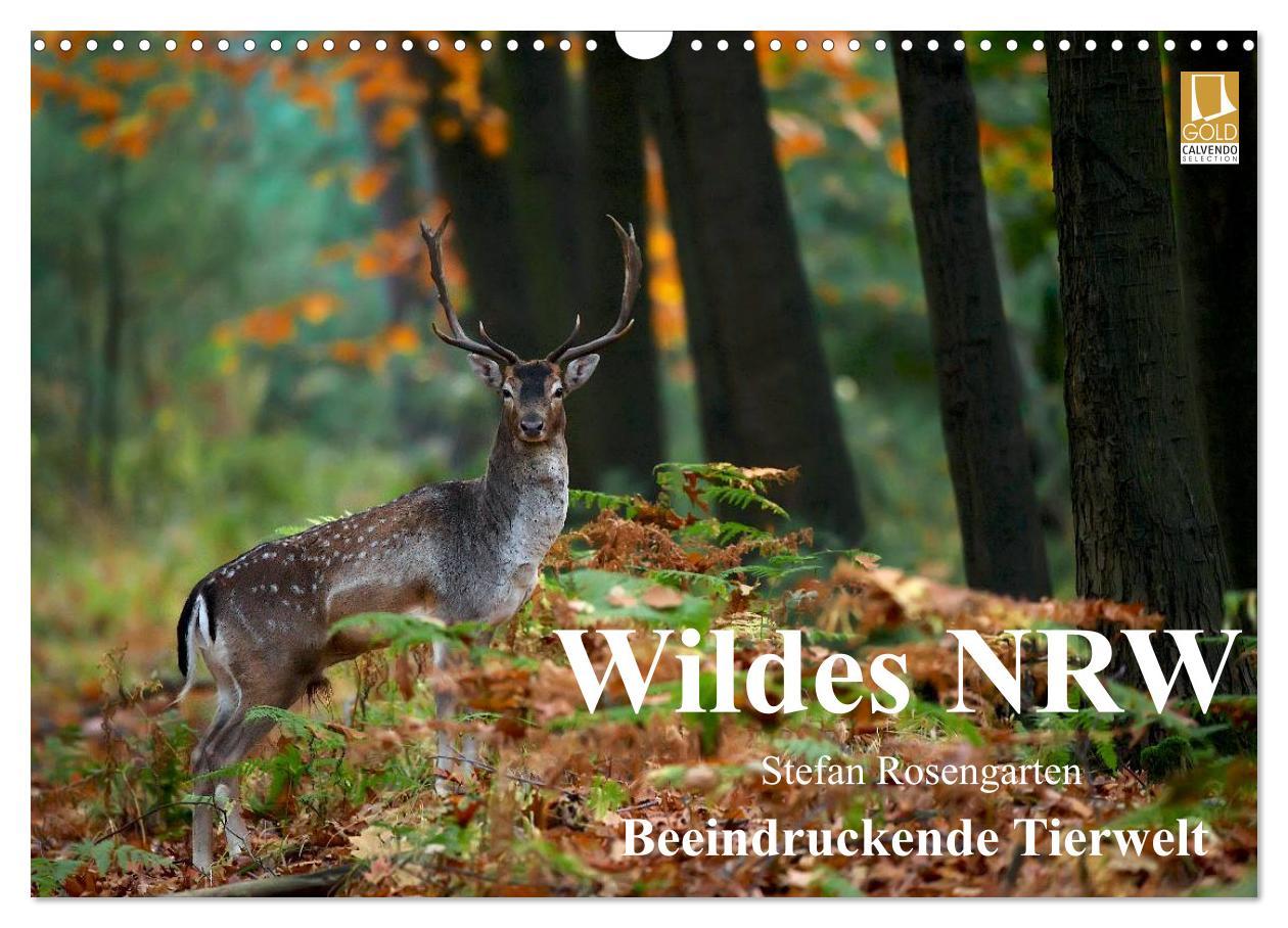 Naptár/Határidőnapló Wildes NRW - Beeindruckende Tierwelt (Wandkalender 2024 DIN A3 quer), CALVENDO Monatskalender 
