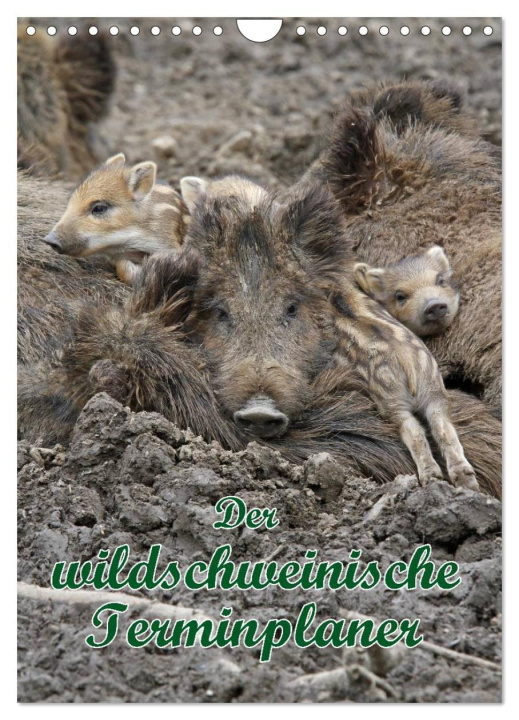Naptár/Határidőnapló Der wildschweinische Terminplaner (Wandkalender 2024 DIN A4 hoch), CALVENDO Monatskalender 