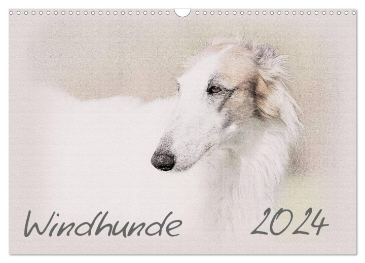 Naptár/Határidőnapló Windhunde 2024 (Wandkalender 2024 DIN A3 quer), CALVENDO Monatskalender 